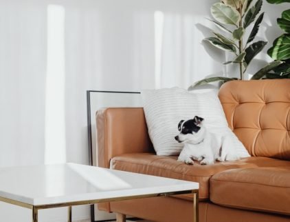 wd-furniture-blog-5-opt